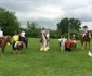 1 karpatia pony show 2019 4 jpg jpeg