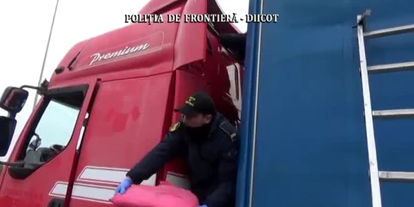 61fa93e95163ec427174e258 jpg