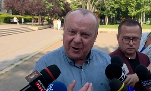 viorel Pasca Razvan dorneanu captură video jpg
