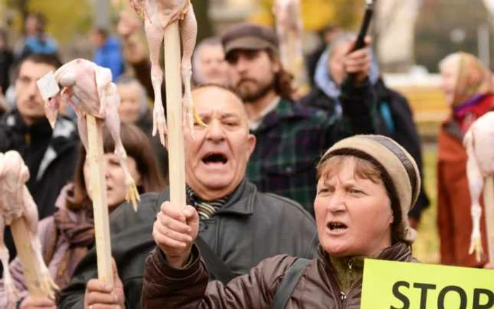 Pe 17 octombrie, în oraşul Lviv, decizia de a permite exploatarea gazelor de şist a fost urmată de proteste. FOTO AFP