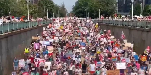 proteste washington dc FOTO Captura png
