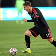 Louis Munteanu Profimedia png