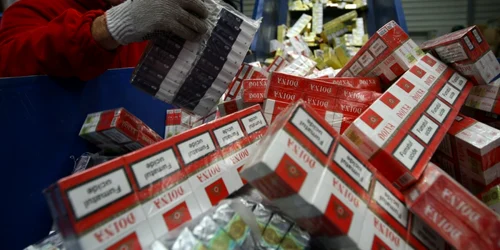 Un barbat pregateste pentru distrugere pachete cu ţigarete confiscate de autorităţile române în timpul unei acţiuni organizate de Japan Tobacco International Romania (JTI) în Otopeni judeţul Ilfov FOTO Marian Iliescu