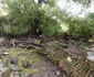 inundatii la eibenthal FOTO Corina Macavei
