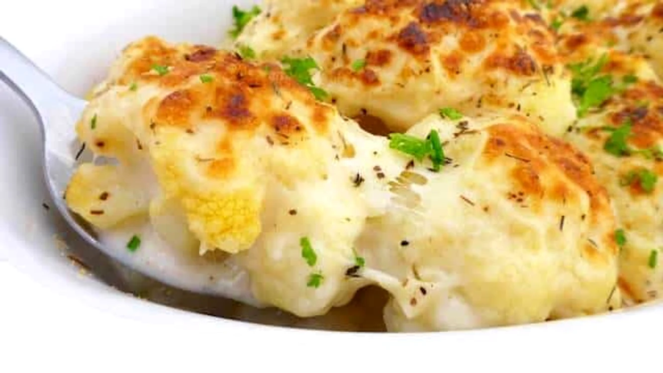 1 conopida gratinata cu sos bechamel jpg jpeg