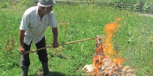 Lana ramasa nevanduta este arsa de ciobani