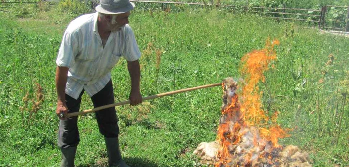 Lana ramasa nevanduta este arsa de ciobani