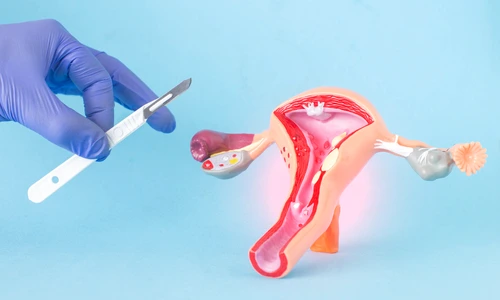 1 shutterstock 1797200857 jpg jpeg