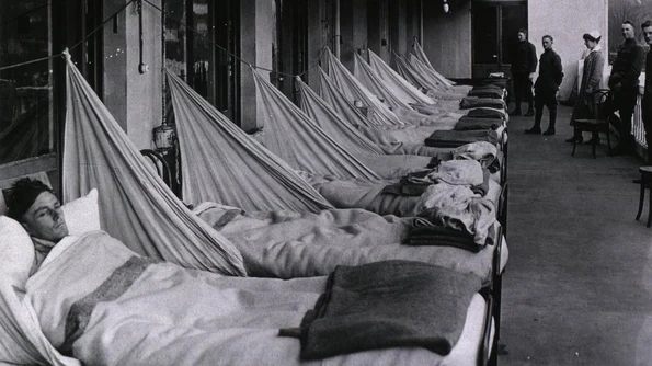 Gripa spaniolǎ a fost o infecție cu micoplasme jpeg