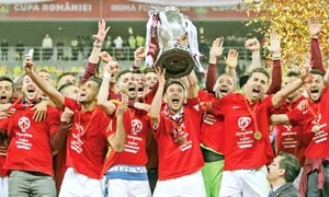 16 sport cupa dam 7558 jpeg