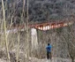 viaductul urias de pe fosta cale ferata a hunedoarei foto daniel guta adevarul