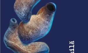 Pe vremea asta    jpeg