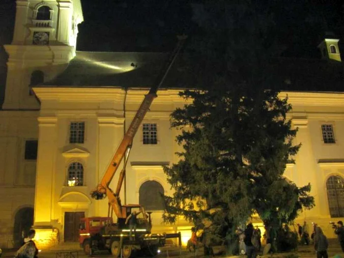 Bradul de Crăciun a fost montat în Centrul Sibiului. Foto: Ştefan Dobre