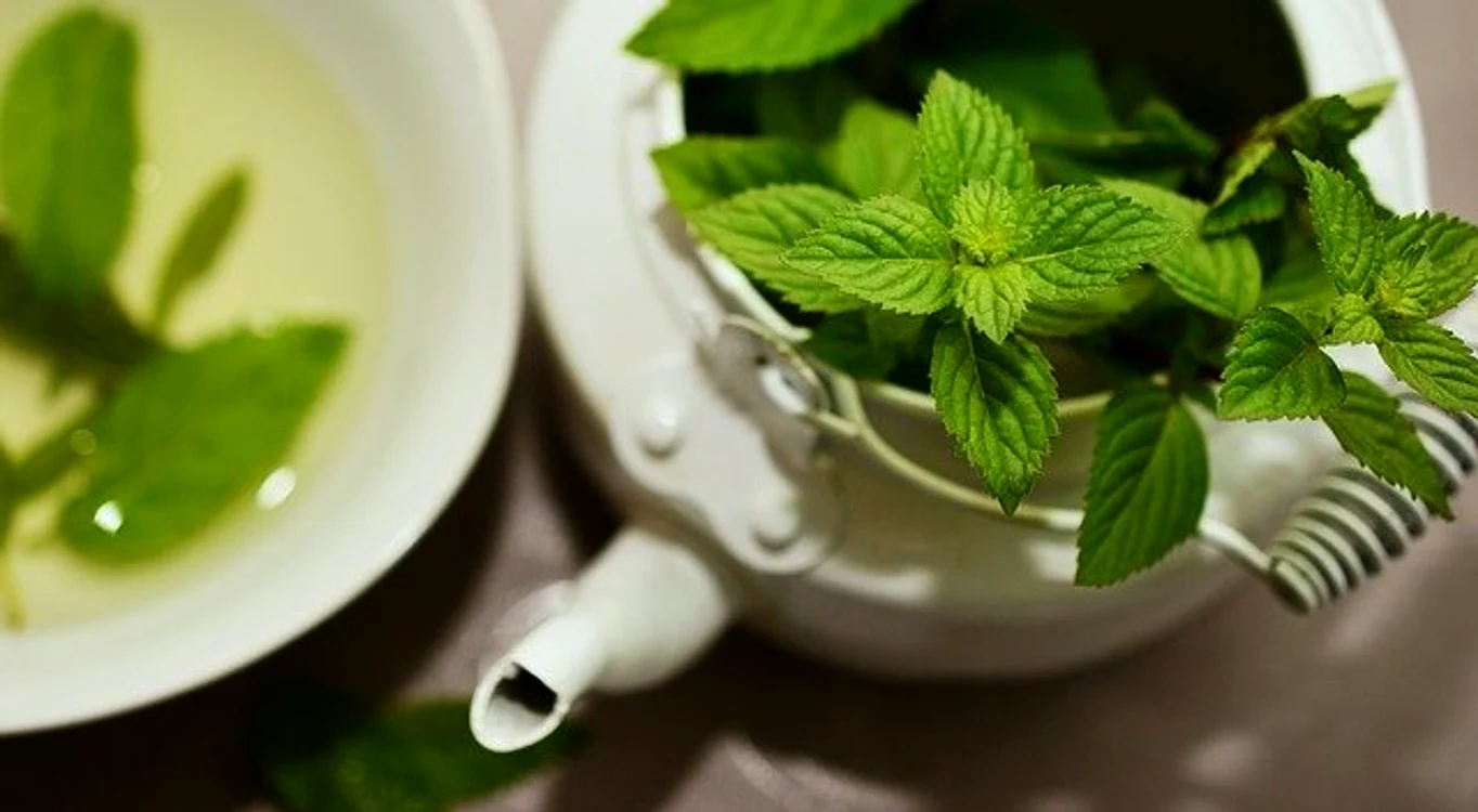 
    Ceaiul care conține mentă este un tonic valorosfoto: pixabay.com  