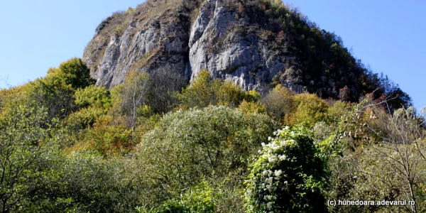 cetatea dacica banita foto daniel guta adevarul