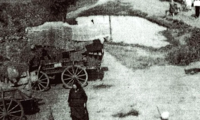 Cumplita noapte de Rusalii    deportarea în Bărăgan jpeg
