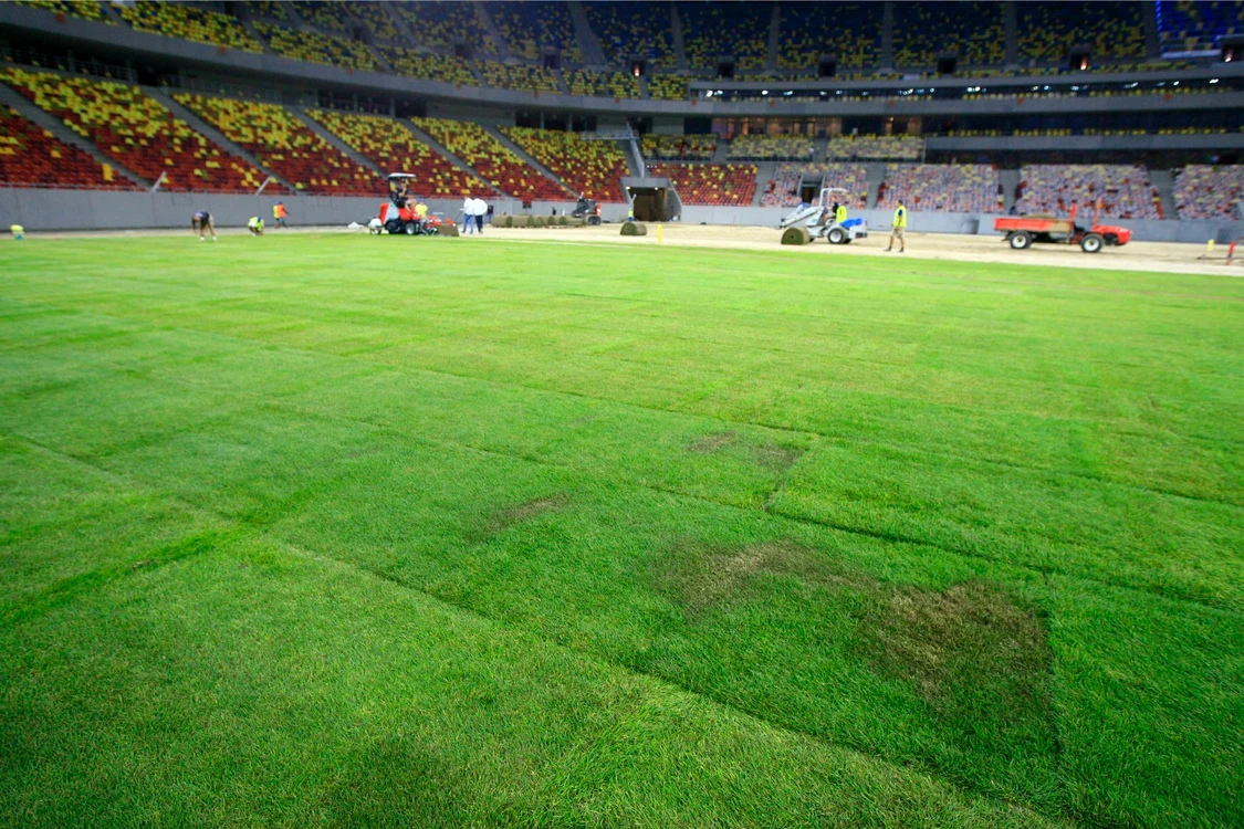 Iarba de pe Arena Naţională a creat tot timpul probleme