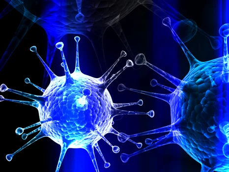 3 gripa virus shutterstock 97145174 jpg jpeg