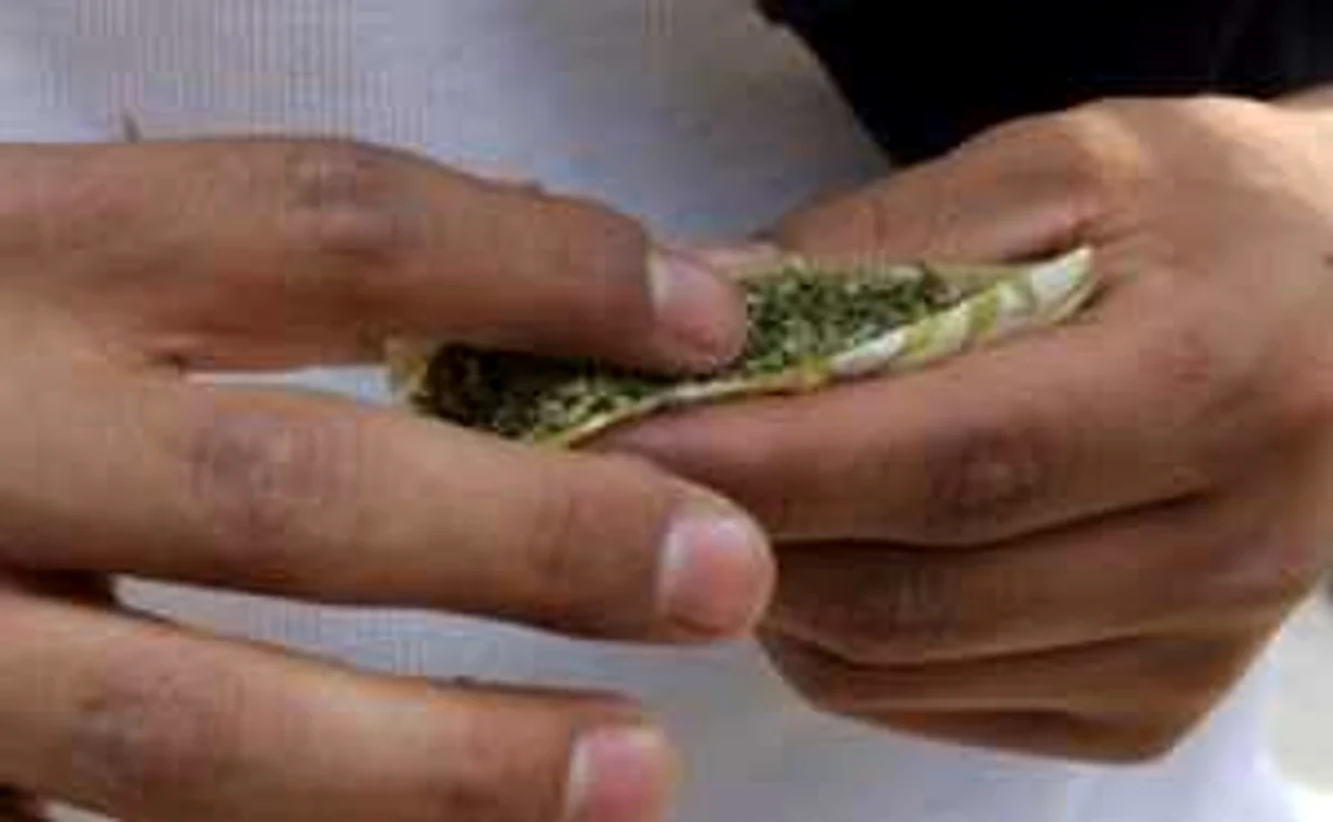 Tânărul a recunoscut că a cumpărat plantele din Constanţa pentru consum propriu