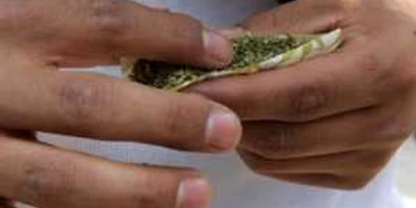 Tânărul a recunoscut că a cumpărat plantele din Constanţa pentru consum propriu
