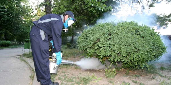 Tratamente pentru de combaterea dăunătorilor vegetali, în parcurile din sectorul 6
