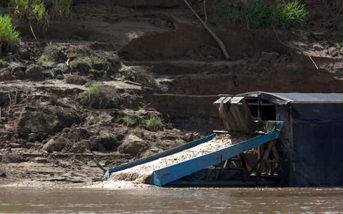 Padurea amazoniană din zona Perului este una din cele mai afectate suprafeţe. FOTO: greenfudge.org