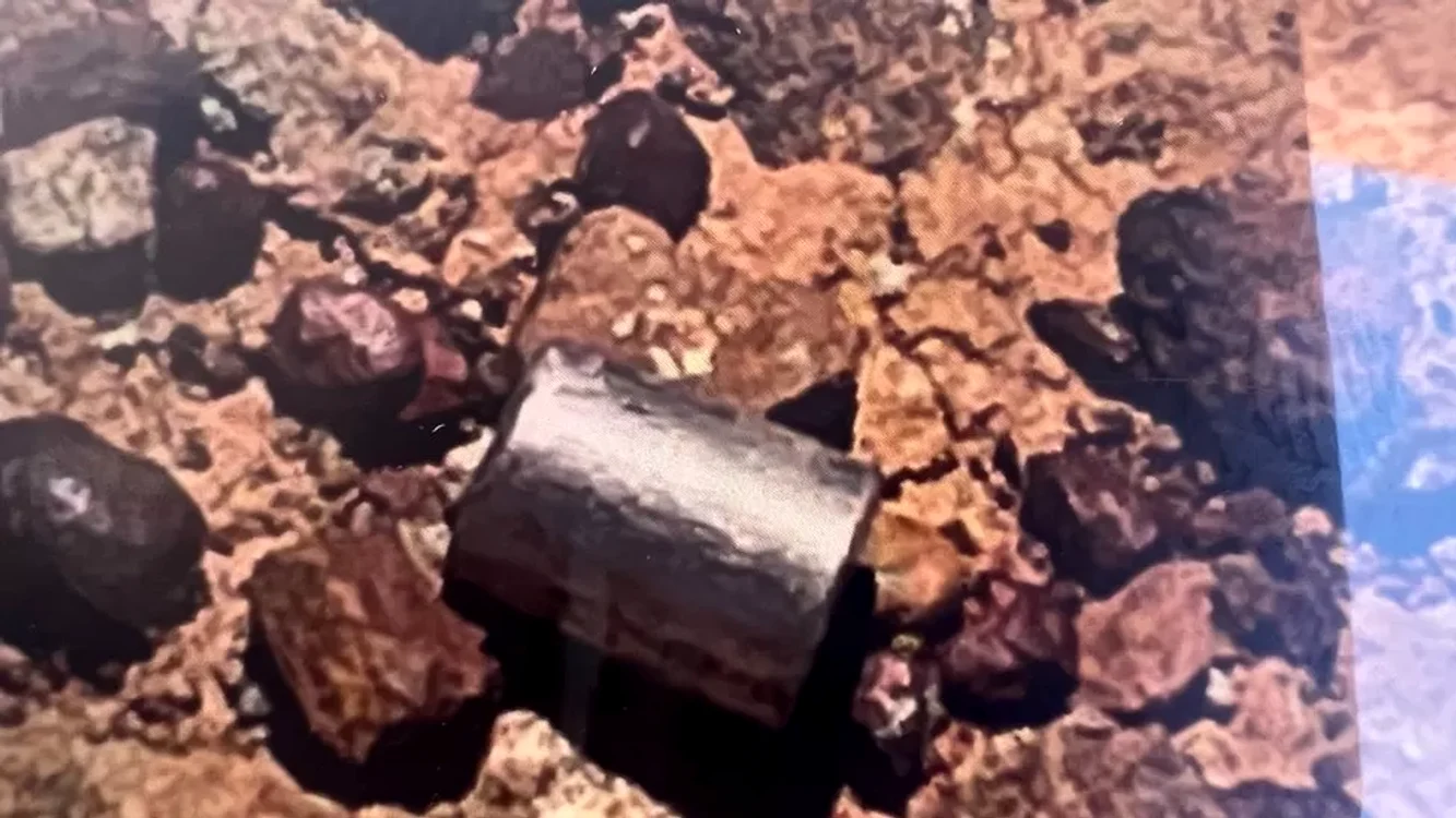 Capsula are un diametru de 6 mm și o lungime de 8 mm FOTO Guvernul Australiei