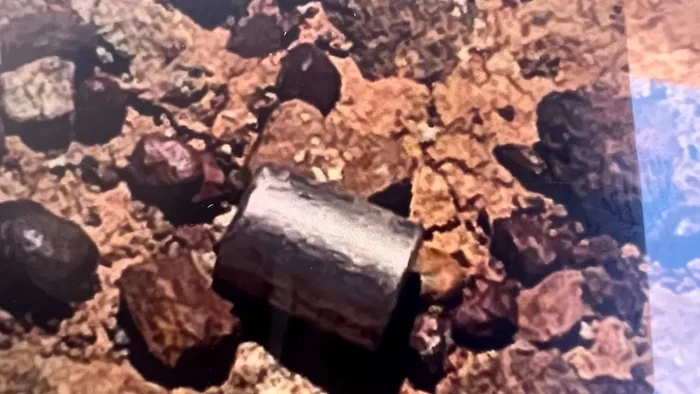 Capsula are un diametru de 6 mm și o lungime de 8 mm FOTO Guvernul Australiei