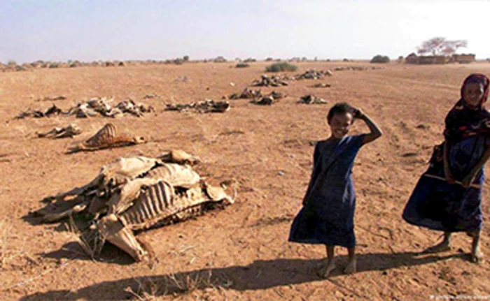 
    2015-2021 Etiopia, afectată grav de secetă  