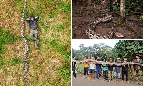 Radu Frențiu a descoperit cel mai lung piton fotoguinness world records png