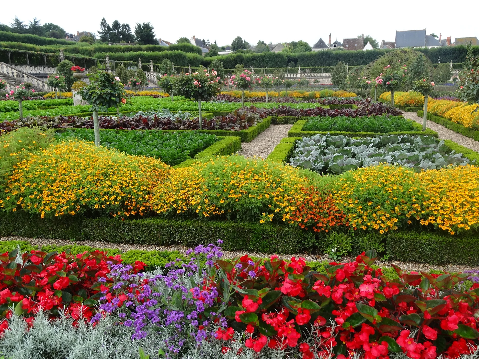 Nu mai cumpăra la întâmplare: ghid 2026 de semințe, bulbi și gazon care îți salvează bani și îți fac grădina să arate perfect