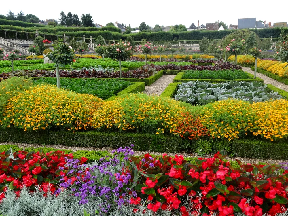 Celebrele grădini cu legume, flori și fructe ale Castelului Villandry din Franța Foto Jardin.com jpg