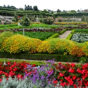 Celebrele grădini cu legume, flori și fructe ale Castelului Villandry din Franța Foto Jardin jpg