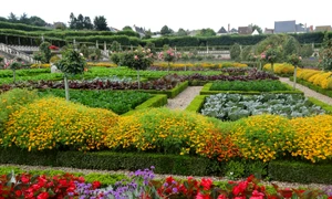 Celebrele grădini cu legume, flori și fructe ale Castelului Villandry din Franța Foto Jardin jpg
