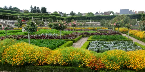Celebrele grădini cu legume, flori și fructe ale Castelului Villandry din Franța Foto Jardin jpg
