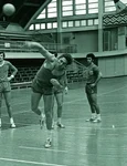 Handbalul românesc: Lungul drum către legendă jpeg