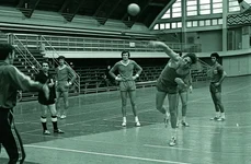 Handbalul românesc: Lungul drum către legendă jpeg
