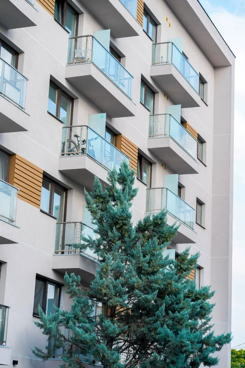 Bloc nou cu un brad lângă balcoane