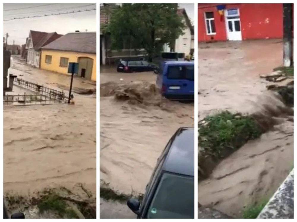 inundatii alba