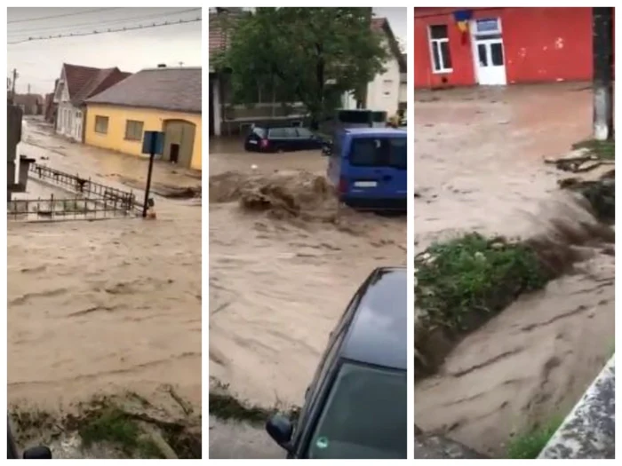 inundatii alba
