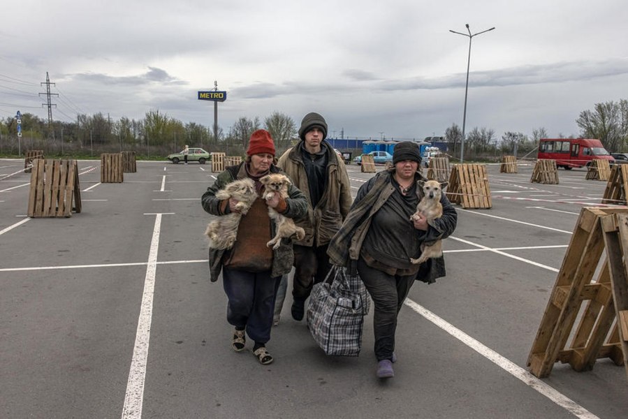 Reguli stricte pentru refugiații ucraineni care vin în România cu animale de  companie 