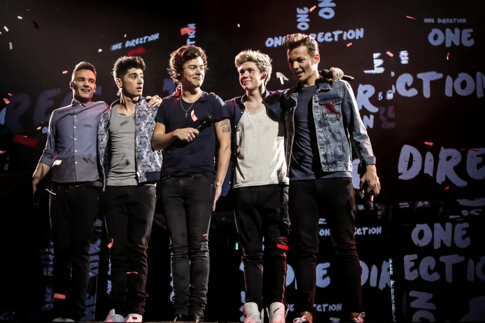 "One Direction - This is us"                             FOTO InterCom Film