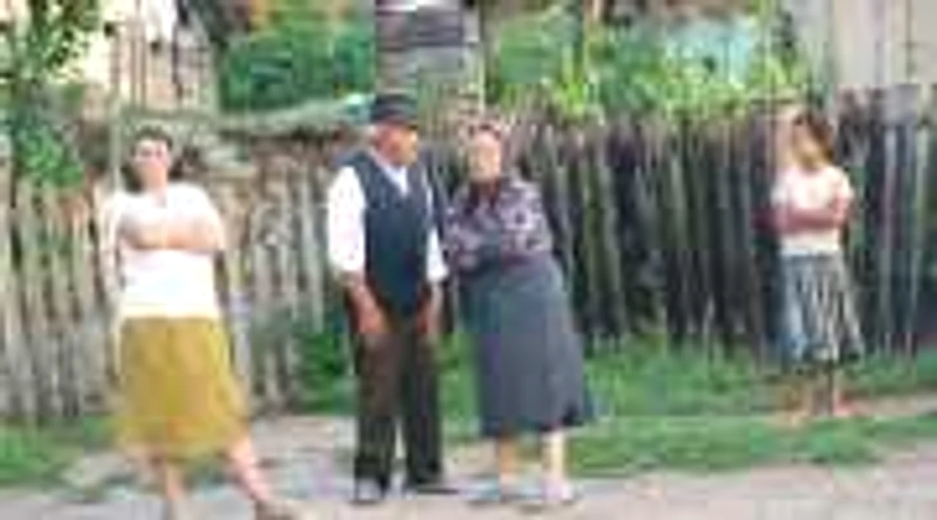 În foarte multe sate din Sălaj, tinerii au plecat la oraşe. Au mai rămas bătrânii şi câţiva copii