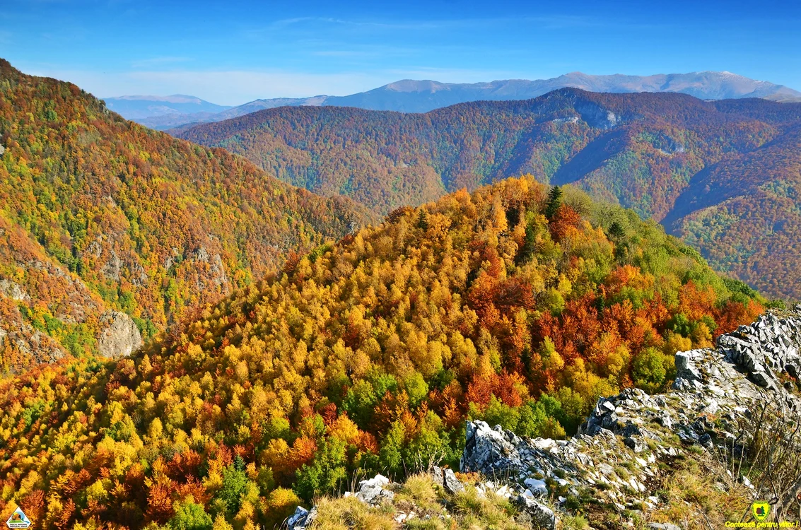 Una dintre cele mai frumoase zone din România. Foto: Facebook/Parcul Național Defileul Jiului