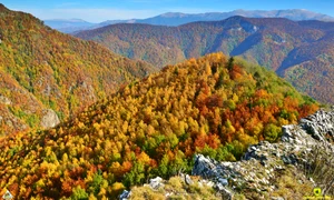 312238838 205485588493488 2757414080811966029 n jpg