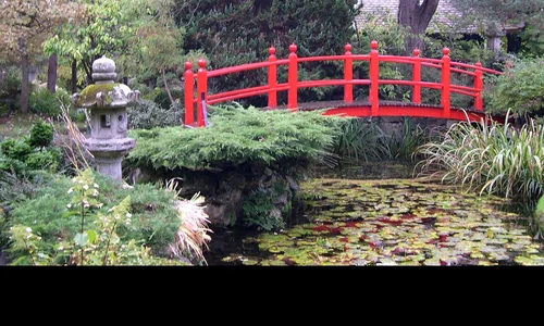 Cîte bordeie, atîtea Japonii jpeg
