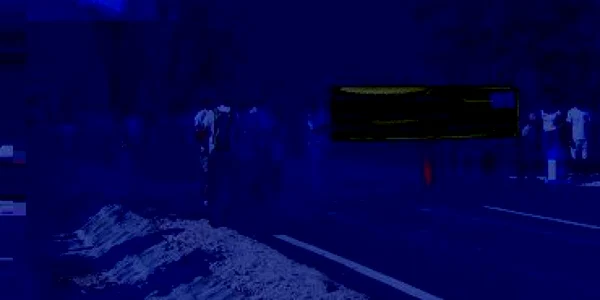 Hunedoara: Ecologiştii nu vor drum prin Peisajul Forestier din Retezat