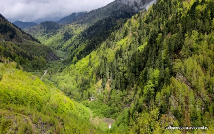 Zona în care se afla colonia Baraj, văzută de pe barajul Gura Apelor. ADEVĂRUL