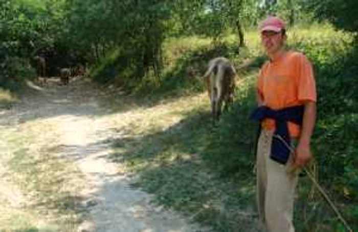 Razvan Ungureanu duce animalele sa bea apă din vale