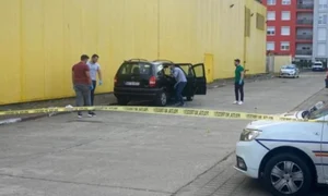 parcare jpg